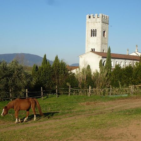 Casa Marce A "Sonno" Bed and Breakfast Porcari Exteriör bild