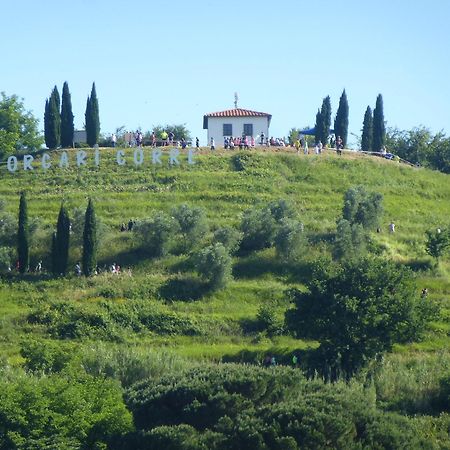 Casa Marce A "Sonno" Bed and Breakfast Porcari Exteriör bild