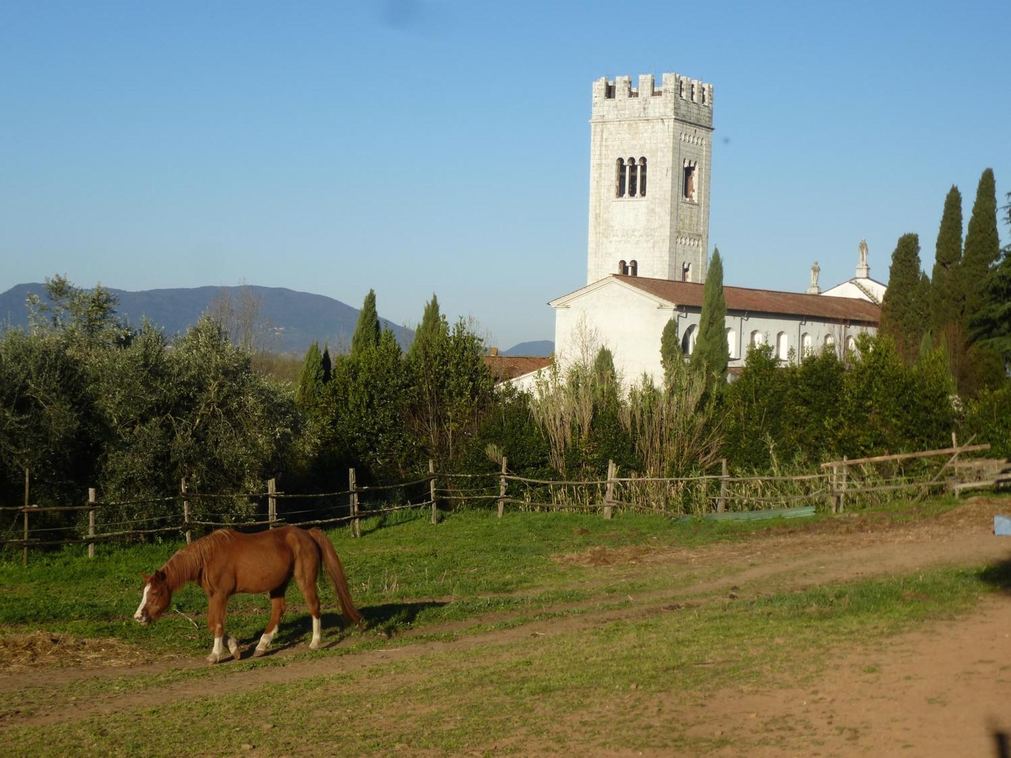 Casa Marce A "Sonno" Bed and Breakfast Porcari Exteriör bild